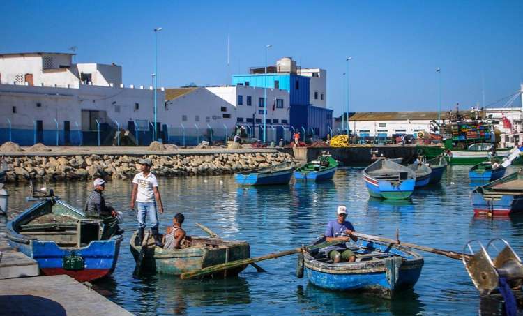 1837 tonnes de poissons débarquées au port de M&rsquo;diq avec une augmentation de 36 % à la fin d&rsquo;août 2025