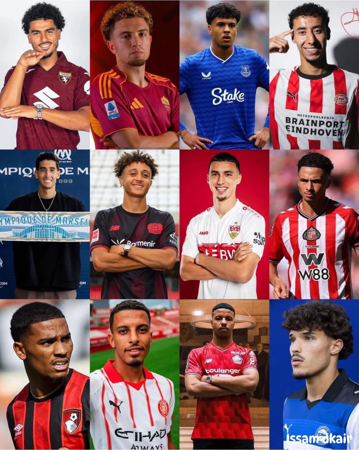 أسود الأطلس