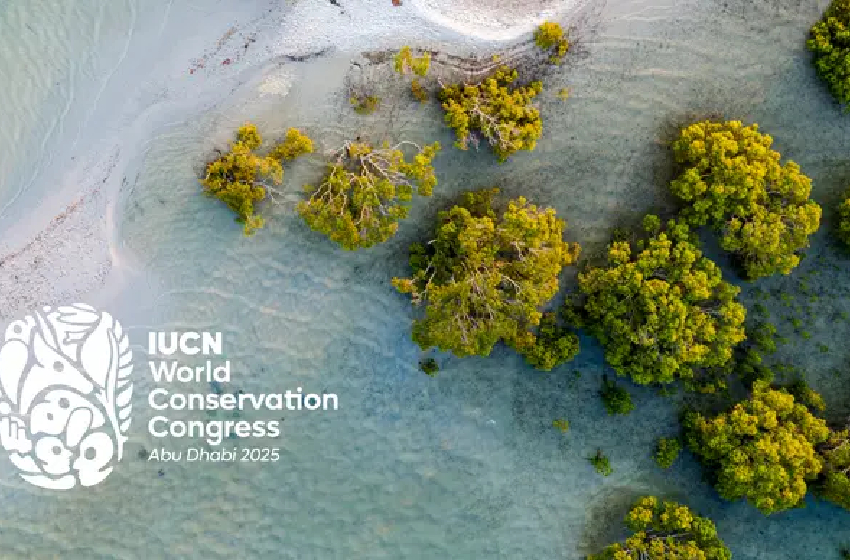 Abou Dabi accueille le Congrès Mondial pour la Protection de la Nature 2025