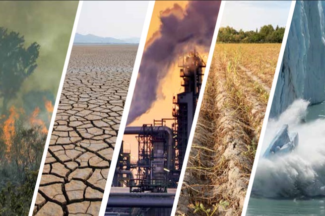 Les jeunes du Maroc se réunissent à Marrakech et à Tanger pour promouvoir le leadership environnemental et lutter contre le changement climatique.