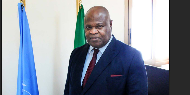 لويس-ماري بواكا