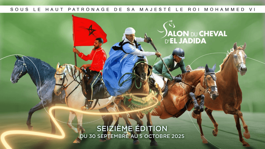 Exposition Équestre à El Jadida : Célébration de la Beauté du Cheval et des Traditions Équestres Marocaines