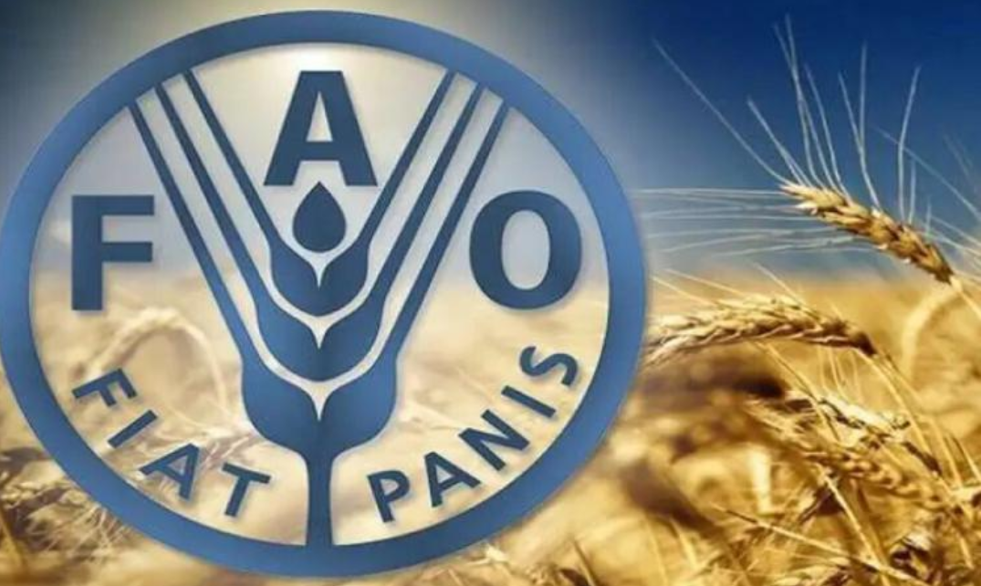 La FAO décerne au Maroc le Prix d&rsquo;Excellence Technique en reconnaissance de son leadership dans la coopération Sud-Sud.