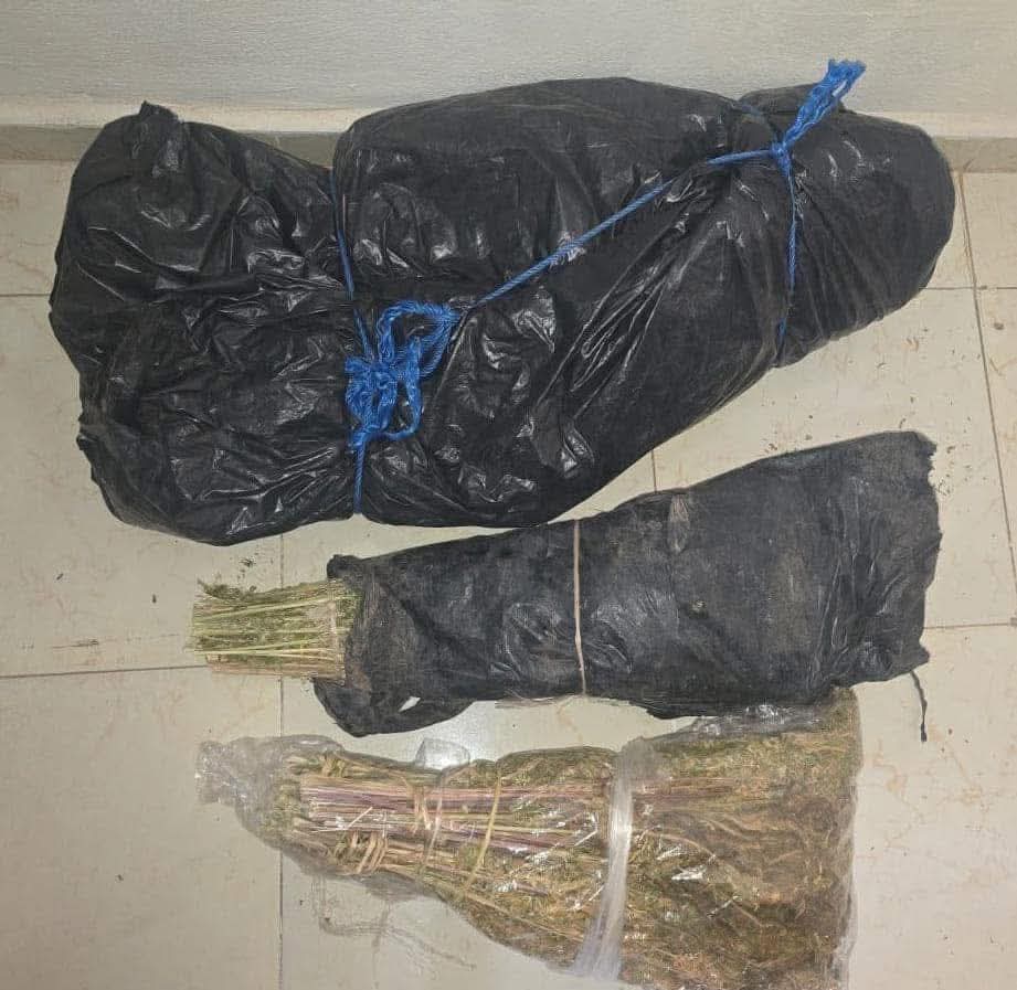 Le royaume du gendarmerie à Sidi Bennour démantèle un réseau de trafiquants de drogue.