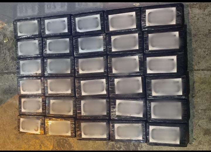 Tanger : Interception de 33 kilogrammes de cocaïne dans un conteneur frigorifique en provenance d&rsquo;Amérique du Sud