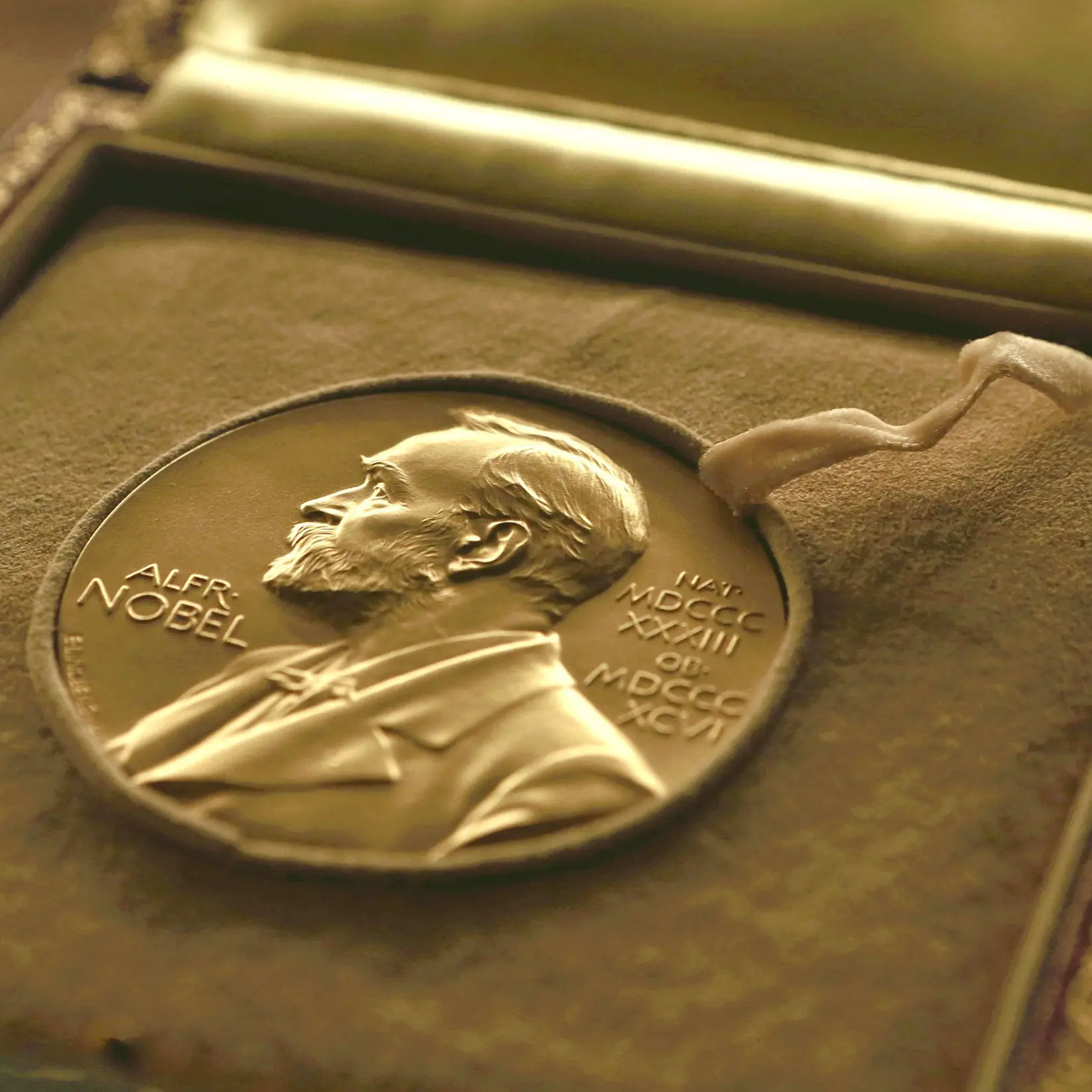 Prix Nobel de Médecine 2025 récompense les découvreurs du « suppressor du système immunitaire »