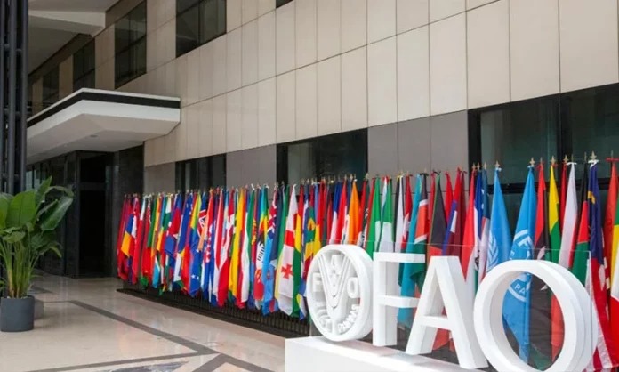 La FAO décerne le prix d&rsquo;excellence technique à l&rsquo;Agence marocaine de coopération internationale en reconnaissance de son rôle dans la coopération Sud-Sud.