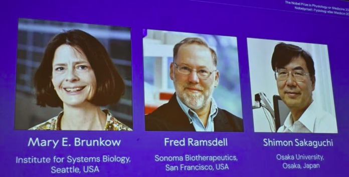 Le prix Nobel de médecine attribué à deux chercheurs, un Américain et un Japonais.