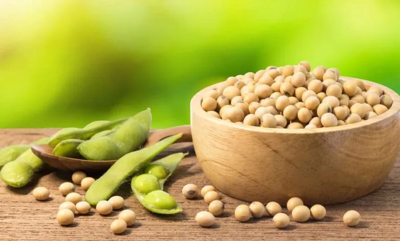 La culture du soja au Brésil démarre à un rythme record malgré les défis climatiques.