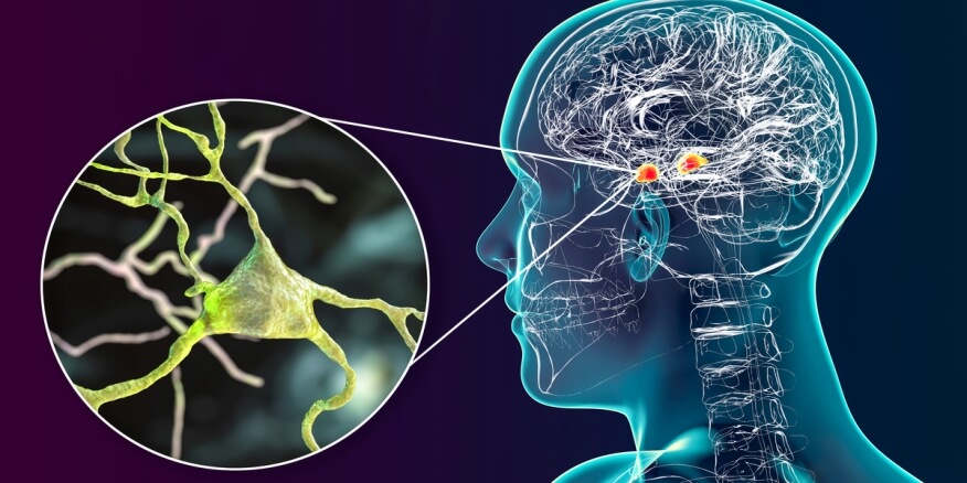 tbl articles article 30917 9766e026d73 9116 48b5 abd7 295a9121f50e