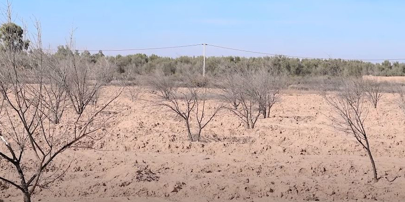 الجفاف في آيت ايمور