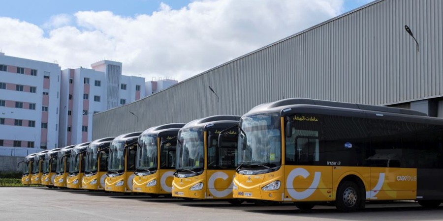 حافلات البيضاء