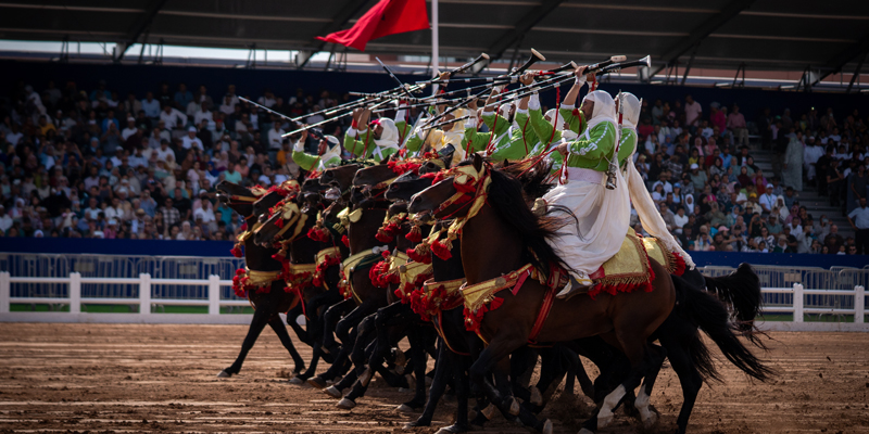 معرض الفروسية الجديدة 2025