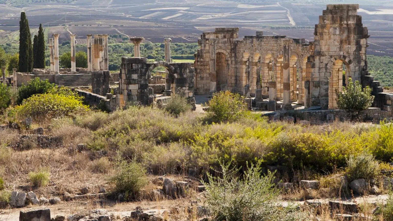 Nouvelle découverte romaine sur le site archéologique de Volubilis