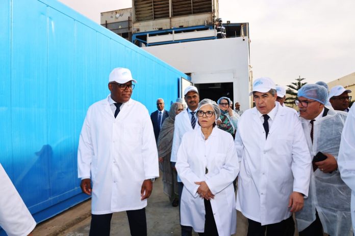 Agadir : Zakia Draywish visite les unités de transformation maritime et les chantiers navals.