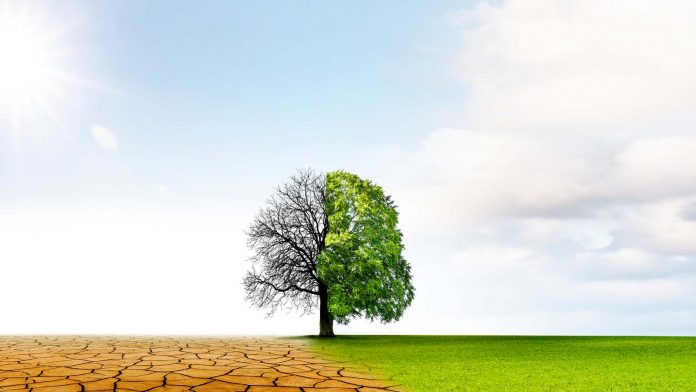 Le Maroc grimpe à la sixième place mondiale dans l’indice de performance sur le changement climatique pour 2026.