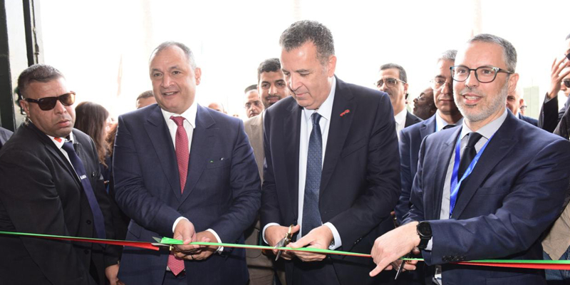 l’Afrique énergétique