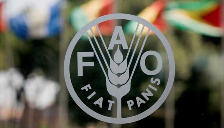 Élection du Maroc au poste de Vice-Président du Conseil de la FAO