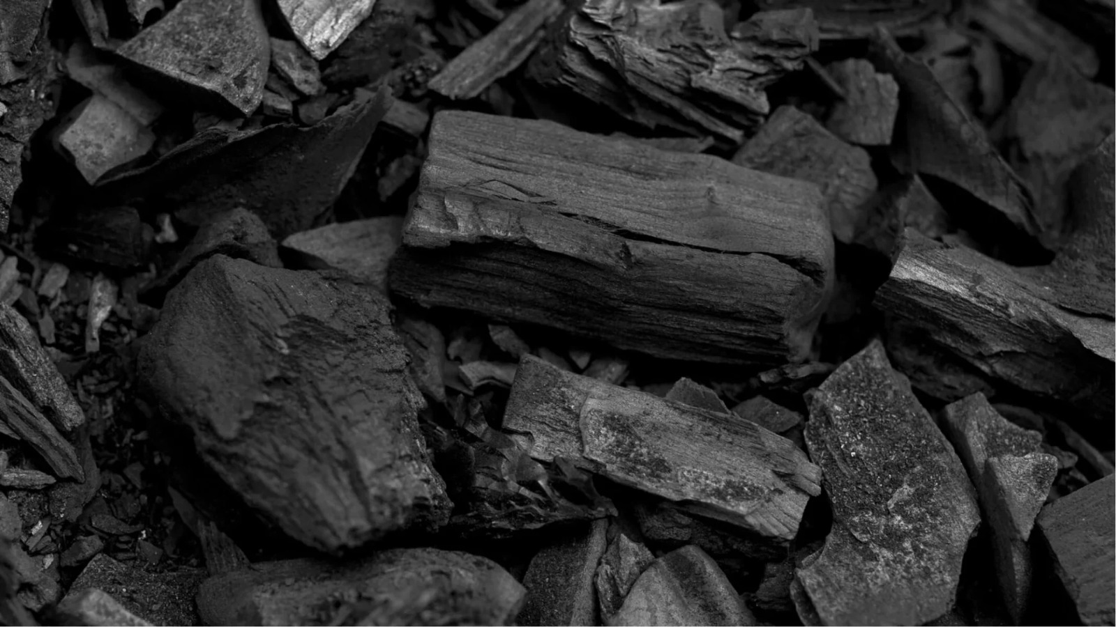 La demande mondiale de charbon atteindra un niveau record en 2025, avec des prévisions de stabilisation progressive à l&rsquo;avenir.