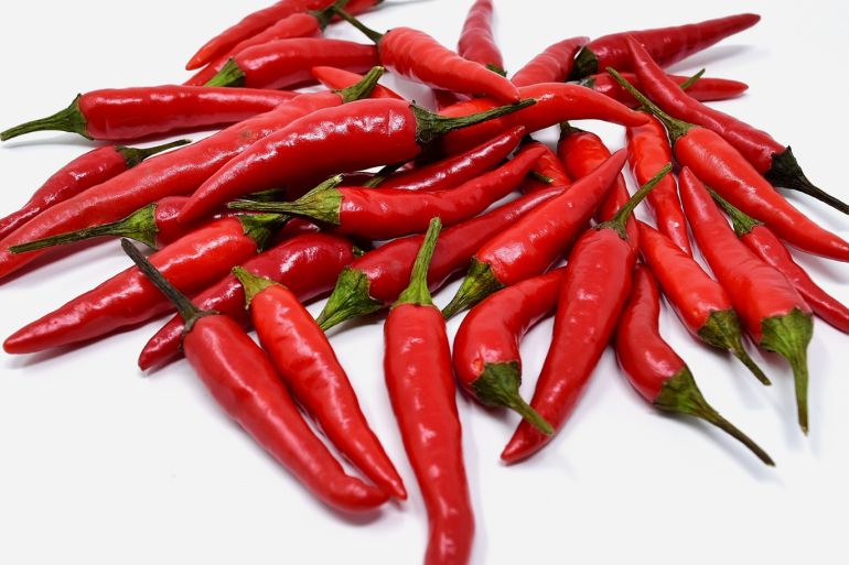 50 000 tonnes de poivre marocain envahissent le marché allemand, défiant l&rsquo;Espagne et les Pays-Bas.