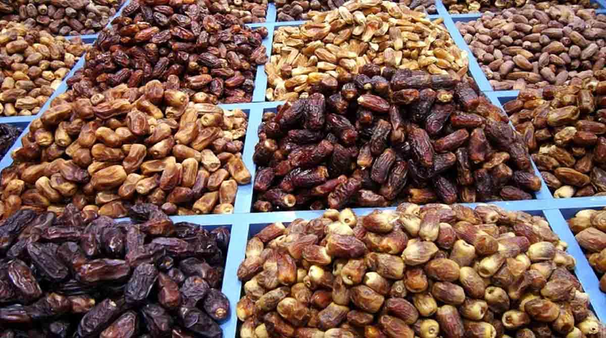 La production de dattes renforce les coopératives locales et dynamise l&rsquo;économie de la région de Tata.