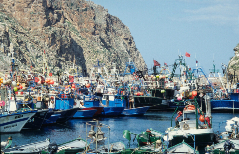 Baisse des débarquements de pêche au port de Al Hoceïma de 32 % à la fin de février 2026
