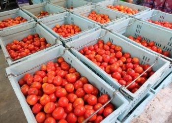 64afd7e1935ba 768x512 1