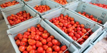 64afd7e1935ba 768x512 1