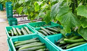 69d65308c05ef 768x453 1