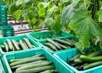 69d65308c05ef 768x453 1