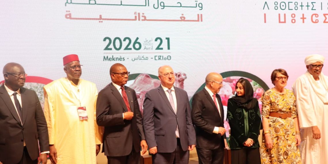 Meknès : Reconnaissance internationale pour l&rsquo;agriculture marocaine prometteuse