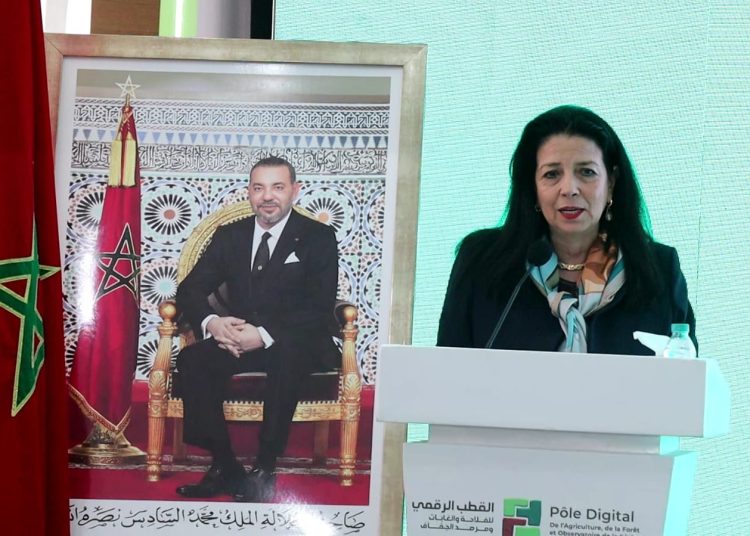 Révolution numérique en agriculture : l&rsquo;ère X.0 se profile avec Serghouchi