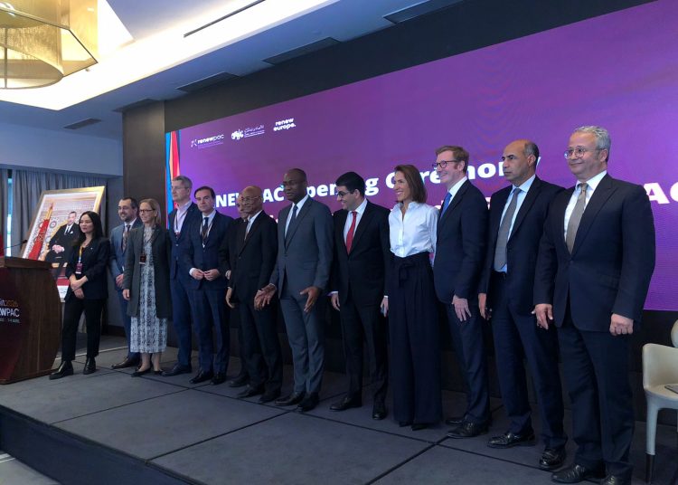 Deuxième jour de la Cime RENEWPAC : l&rsquo;engagement des jeunes au cœur des échanges Afrique-Europe