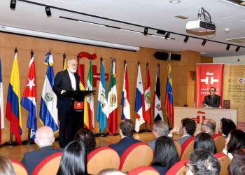instituto cervantes roman Don Quichotte5