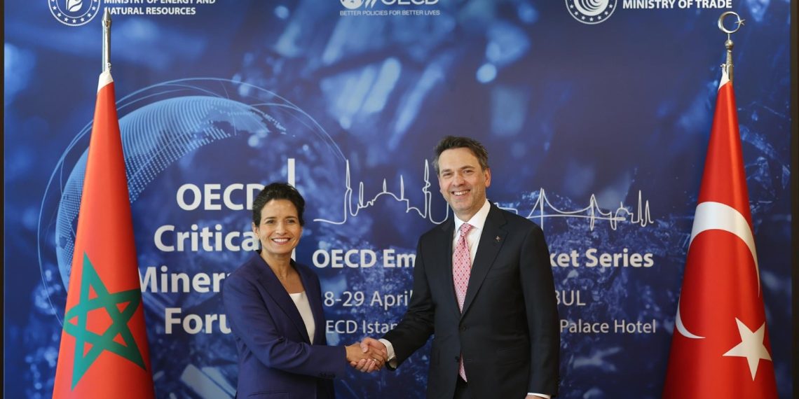 Transition énergétique et sécurité énergétique au cœur des échanges maroco-turcs au Forum de l&rsquo;OCDE