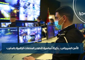 الأمن السيبراني