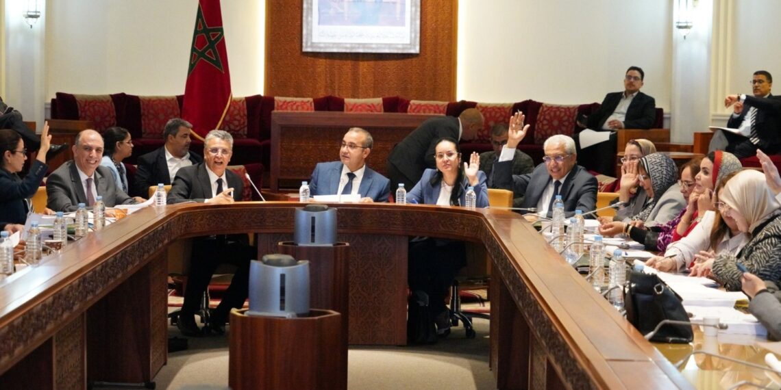 La loi sur l’organisation de la profession d’avocat adoptée par le gouvernement