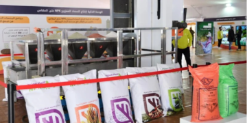 Le Maroc s&rsquo;impose comme le deuxième fournisseur d&rsquo;engrais au Brésil en avril