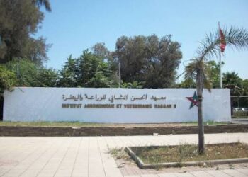 HASSAN 2 AGADIR