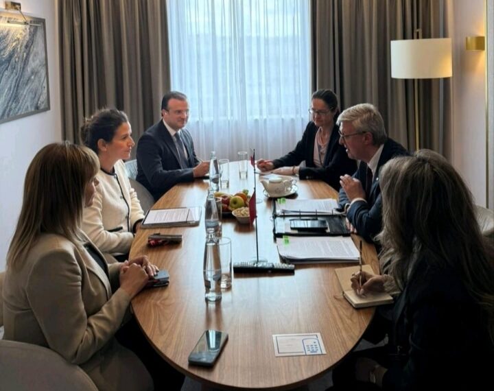 Prague : Ben Ali discute de la coopération en énergies vertes avec le vice-Premier ministre tchèque