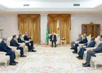 IMG 9981