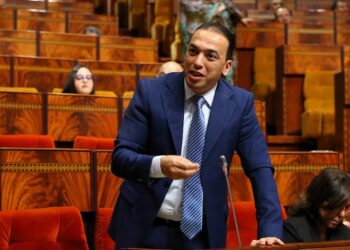 lahcen saadi parlement