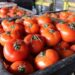 tomate