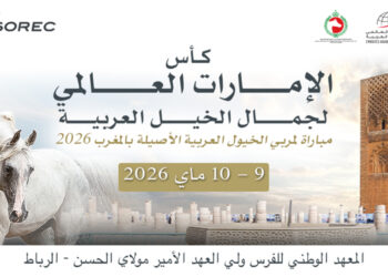 كأس الإمارات العالمي