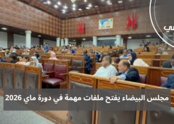 مجلس المدينة