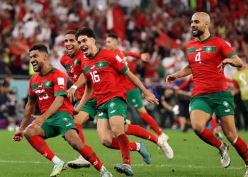 La télévision nationale acquiert les droits de diffusion des matchs des Lions au Mondial