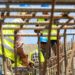 chantier