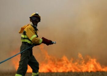 incendie tolede