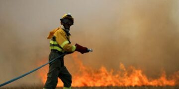 incendie tolede