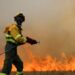incendie tolede